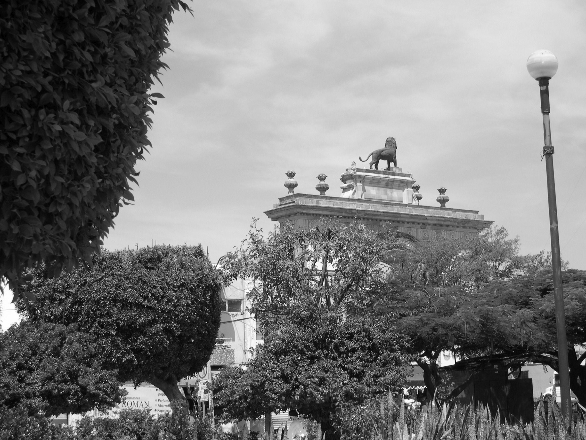 DSCN0112